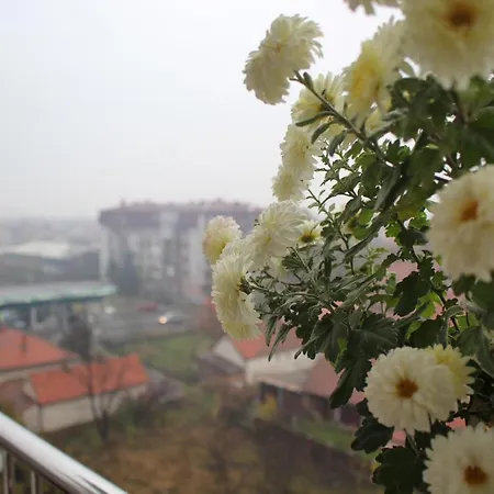 Apartman Francuskinje Elegant